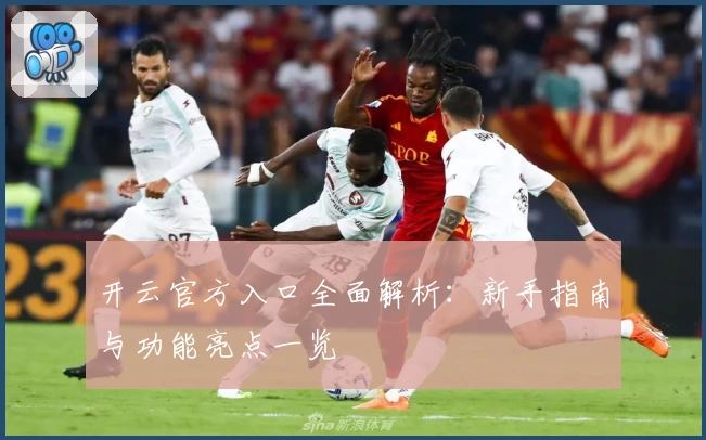 开云官方入口全面解析：新手指南与功能亮点一览