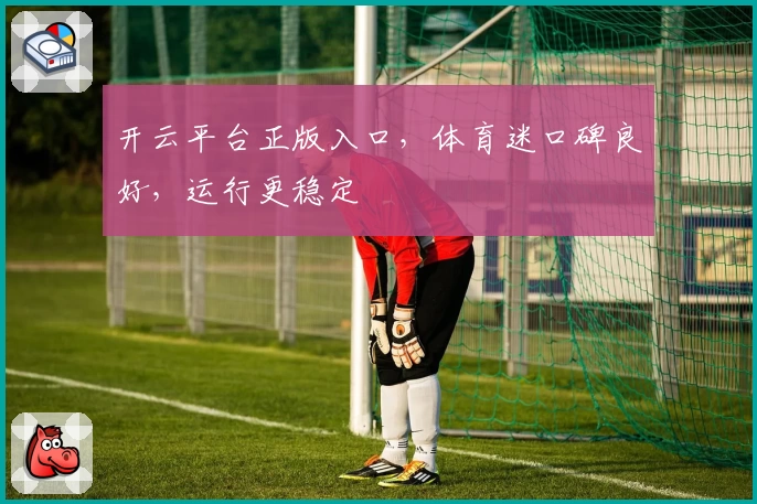 开云平台正版入口，体育迷口碑良好，运行更稳定