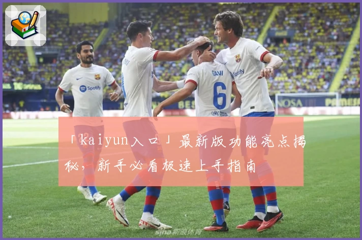 「kaiyun入口」最新版功能亮点揭秘，新手必看极速上手指南