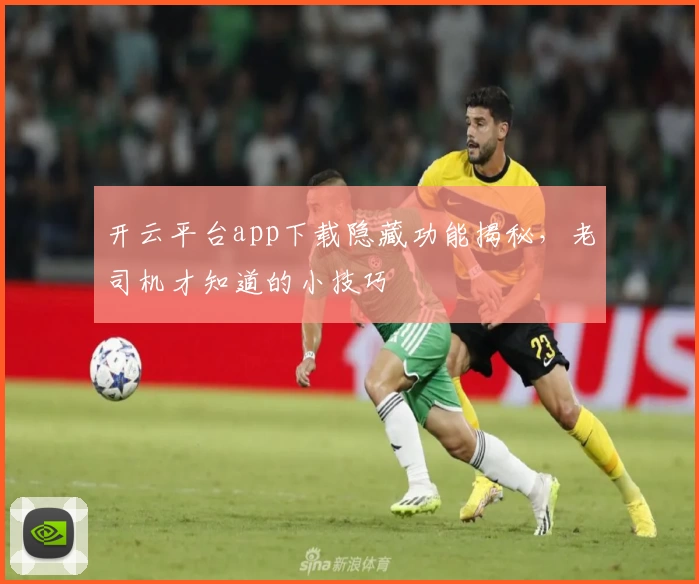 开云平台app下载隐藏功能揭秘，老司机才知道的小技巧