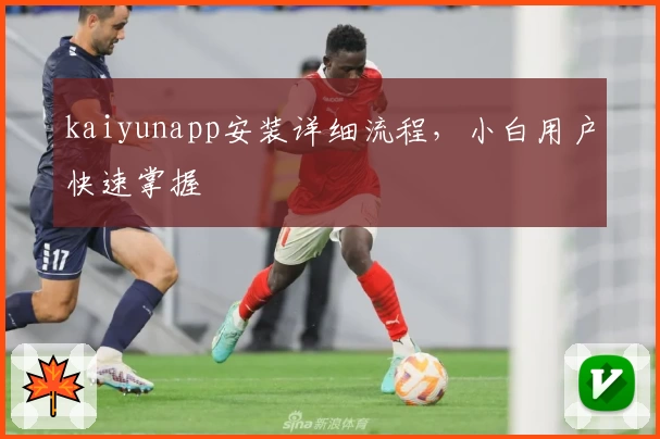 kaiyunapp安装详细流程，小白用户快速掌握