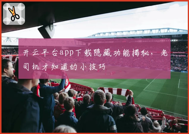 开云平台app下载隐藏功能揭秘，老司机才知道的小技巧